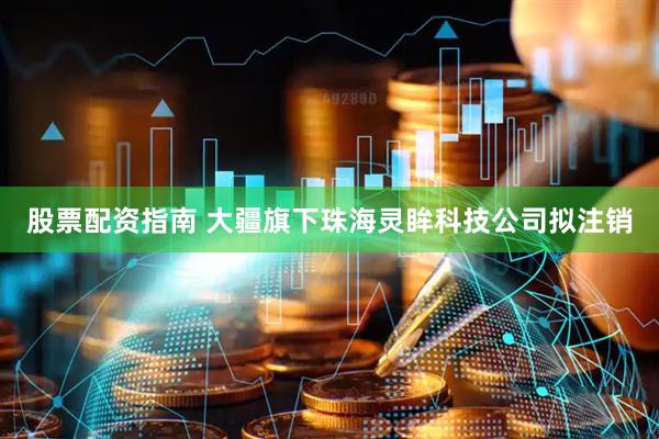 股票配资指南 大疆旗下珠海灵眸科技公司拟注销