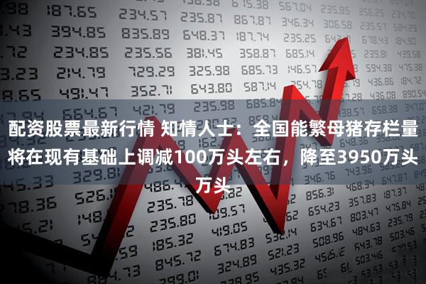 配资股票最新行情 知情人士：全国能繁母猪存栏量将在现有基础上调减100万头左右，降至3950万头