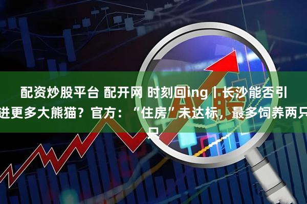 配资炒股平台 配开网 时刻回ing丨长沙能否引进更多大熊猫？官方：“住房”未达标，最多饲养两只